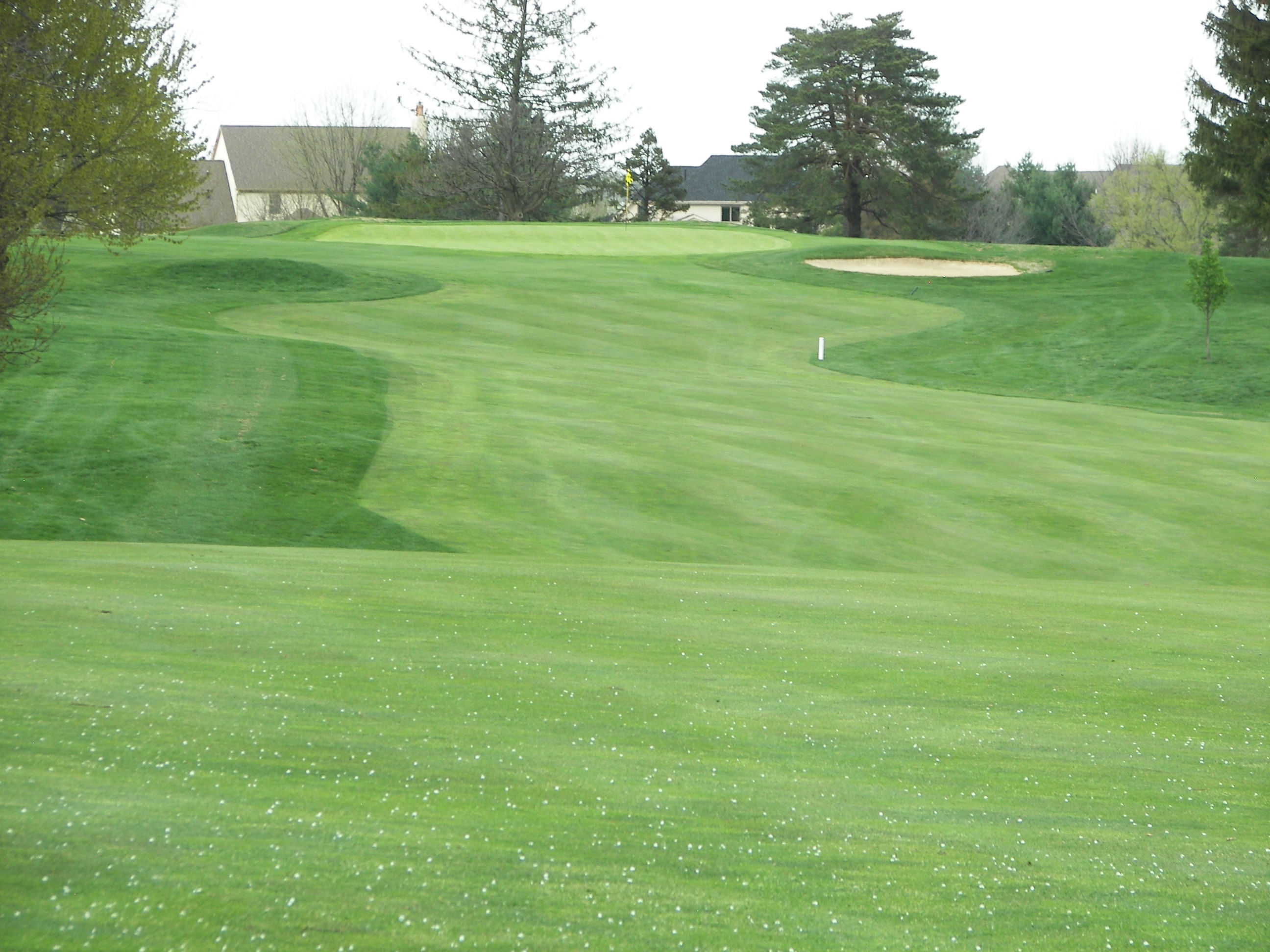 Course Pictures 2012 037.jpg